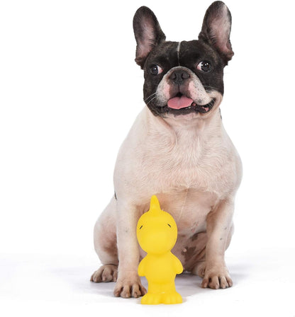 for Pets Charlie Brown Snoopy Vinyl Squeaker Dog Toy | Squeaky Dog Toy for All Dogs | Charlie Brown Plastic Dog Toys for Aggressive Chewers - Fun and Cute Dog Chew Toy