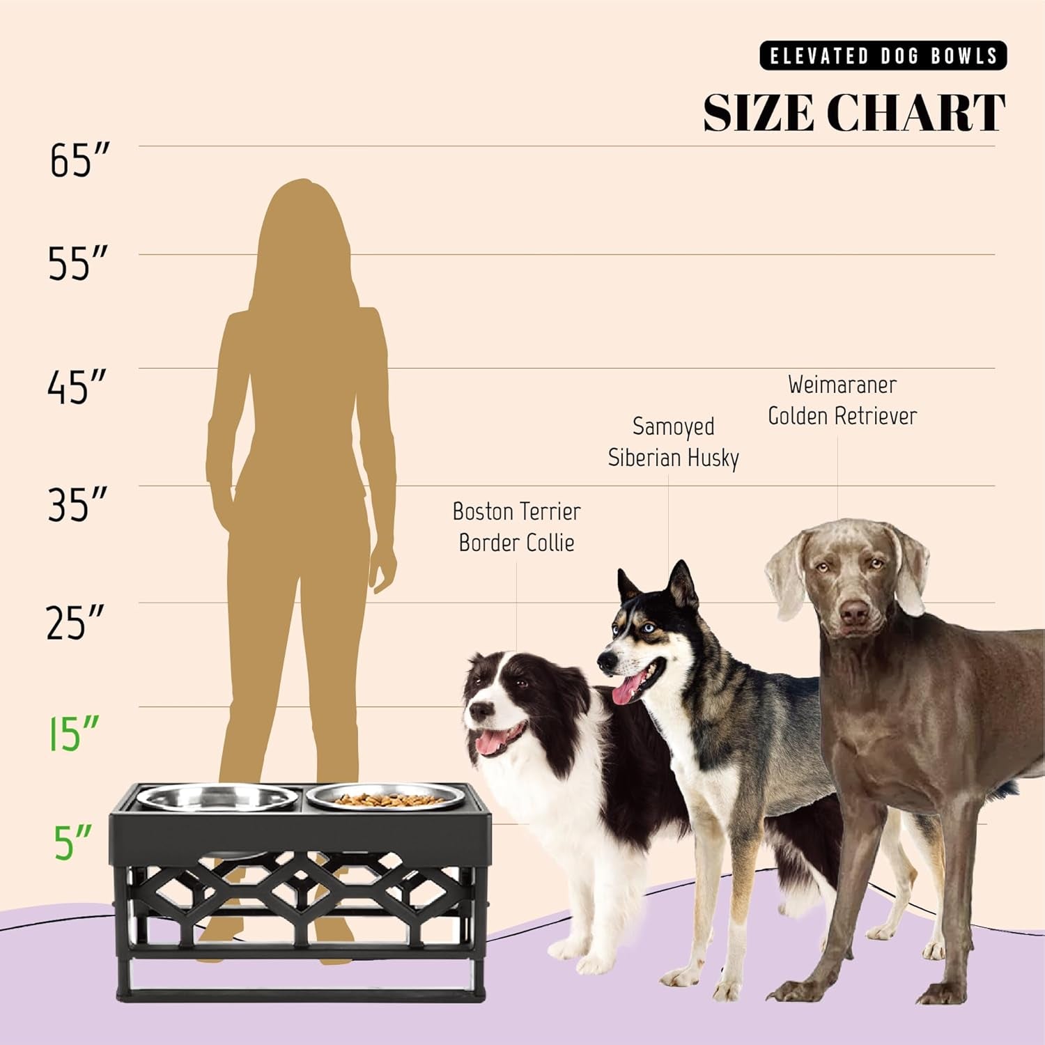 Large Elevated Dog Bowls Stand - Adjustable Raised Pet Food Feeder Station for Medium/Large Sized Dogs - Anti-Slip 4 Height Stand with 2 Stainless Steel Large Dog Food & Water Bowls Dish Set