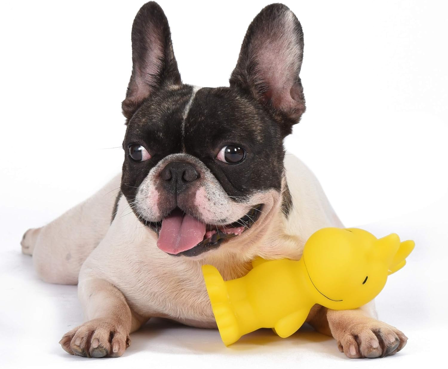 for Pets Charlie Brown Snoopy Vinyl Squeaker Dog Toy | Squeaky Dog Toy for All Dogs | Charlie Brown Plastic Dog Toys for Aggressive Chewers - Fun and Cute Dog Chew Toy